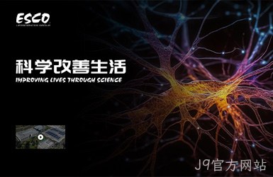 点击查看