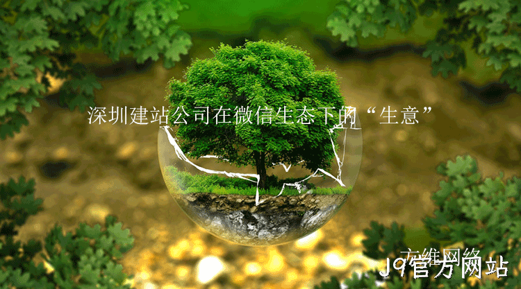 深圳建站公司微信生态