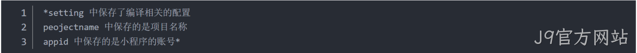 JSON 配置文件