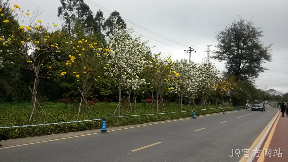 J9官方网站仙湖行