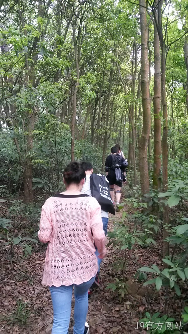 J9官方网站仙湖行