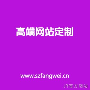高端定制网站