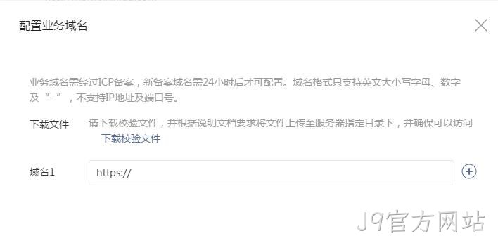 配置业务域名要求