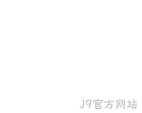 网站开发