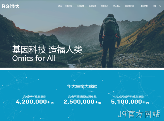 网站案例