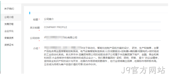 企业网站开发